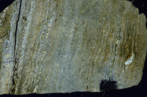 Cross Polarized, S86732
