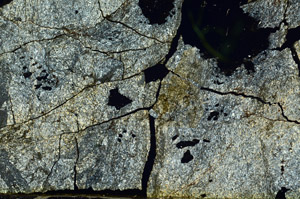 Cross Polarized, S86733
