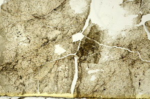 Plane Polarized, S86733