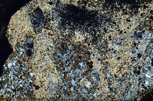Cross Polarized, S86738