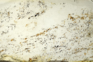 Plane Polarized, S86739