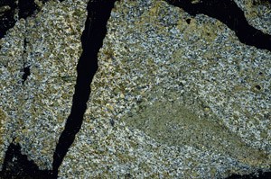 Cross Polarized, S86741