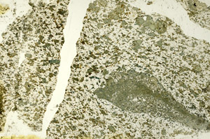 Plane Polarized, S86741