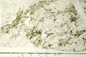 Plane Polarized, S86742