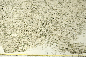 Plane Polarized, S86743