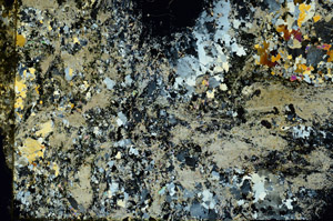 Cross Polarized, S86744