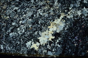 Cross Polarized, S86745