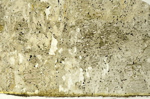 Plane Polarized, S86746