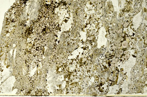 Plane Polarized, S86748
