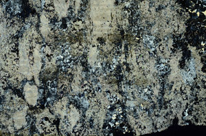Cross Polarized, S86749
