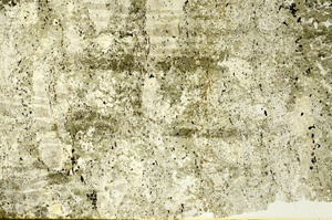 Plane Polarized, S86749