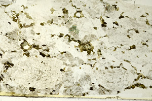 Plane Polarized, S86753