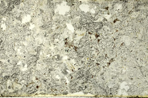 Plane Polarized, S86756