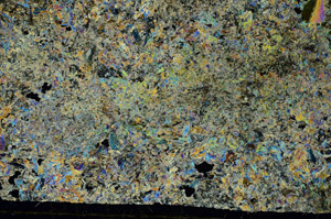 Cross Polarized, S86757