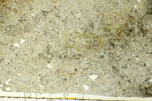 Plane Polarized, S86757