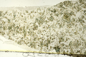 Plane Polarized, S86759