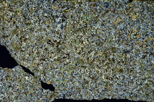 Cross Polarized, S86761