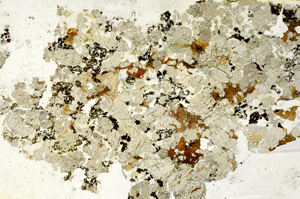 Plane Polarized, S86776
