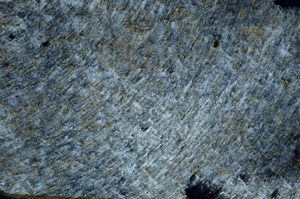 Cross Polarized, S86778