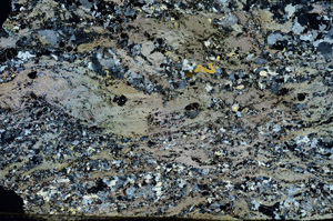 Cross Polarized, S86781