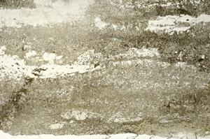 Plane Polarized, S86782