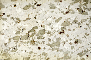Plane Polarized, S86784