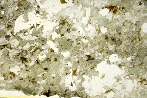 Plane Polarized, S86787