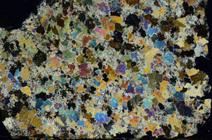 Cross Polarized, S86800