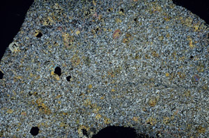 Cross Polarized, S86805