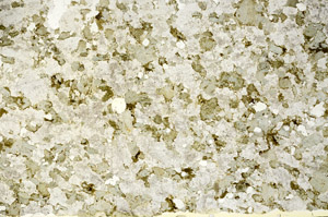 Plane Polarized, S86808