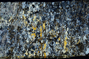 Cross Polarized, S86813