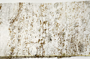 Plane Polarized, S86813