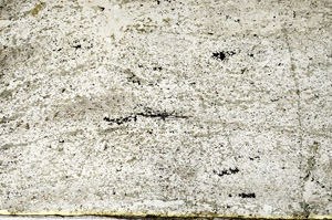 Plane Polarized, S86815