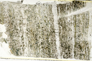 Plane Polarized, S86816
