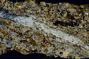 Cross Polarized, S86817