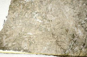 Plane Polarized, S86818