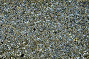 Cross Polarized, S86825
