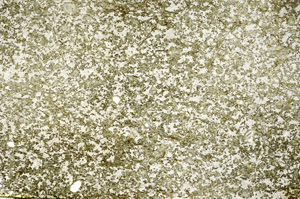 Plane Polarized, S86825