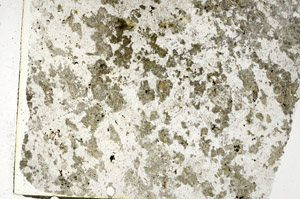 Plane Polarized, S86827