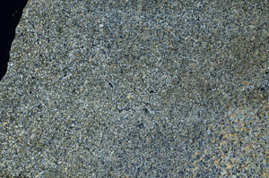 Cross Polarized, S86828