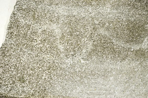 Plane Polarized, S86828