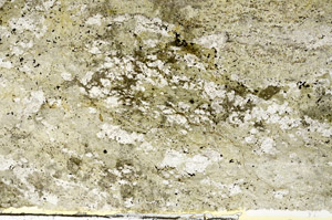 Plane Polarized, S86831