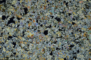 Cross Polarized, S86834