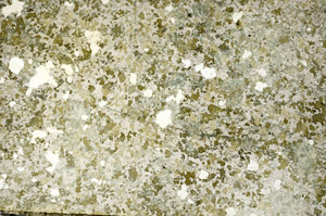 Plane Polarized, S86834