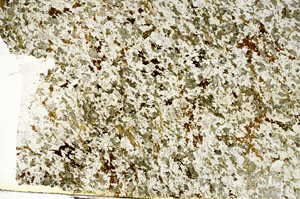 Plane Polarized, S86835