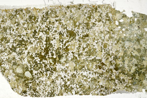 Plane Polarized, S86840