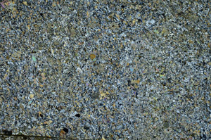 Cross Polarized, S86842