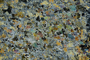 Cross Polarized, S86843
