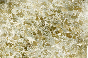 Plane Polarized, S86843