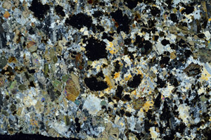 Cross Polarized, S86849